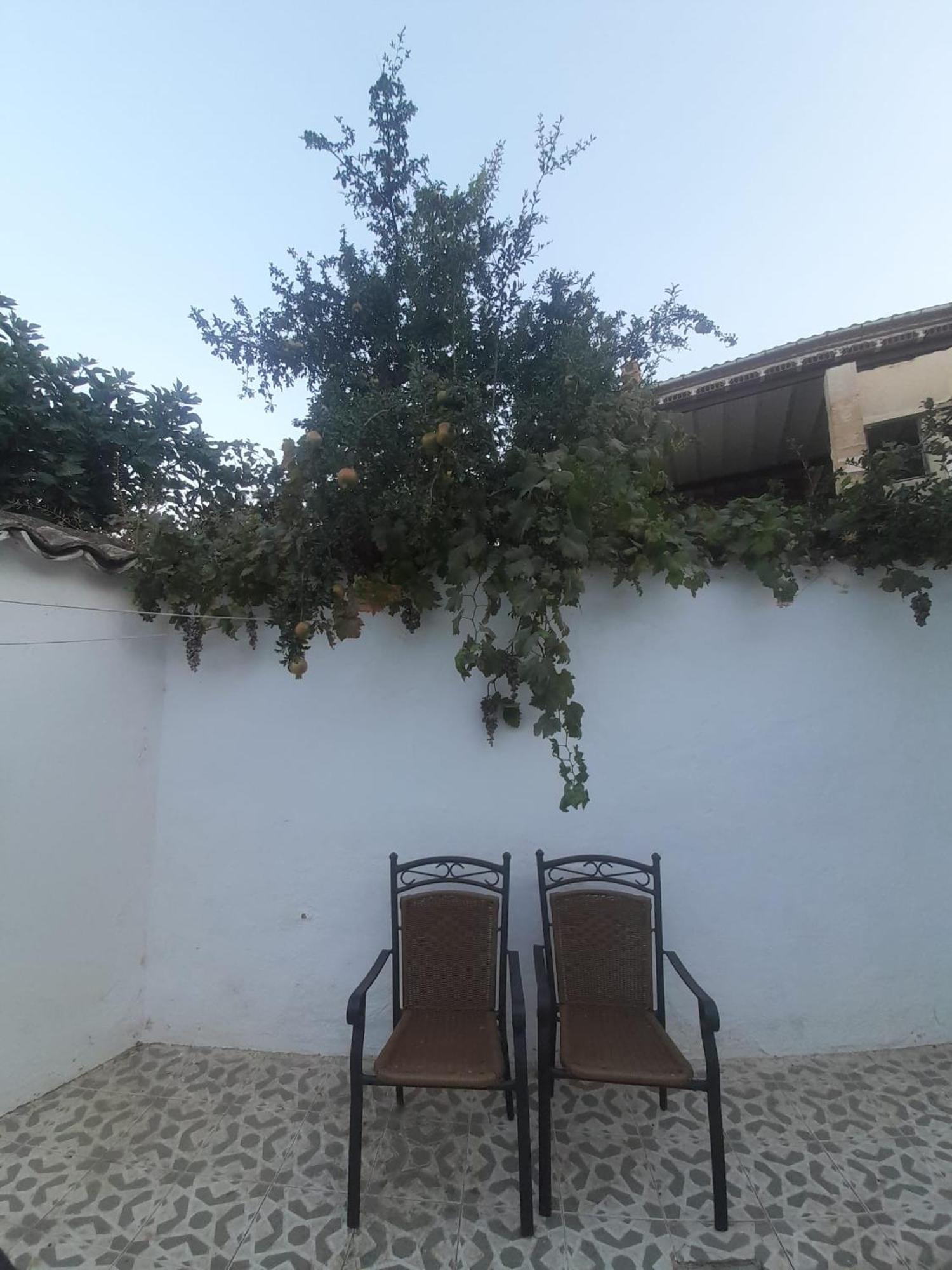 El Molino De Aceite Villa Baeza Bagian luar foto